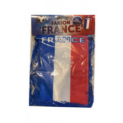 Fanion ''France''