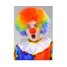 Perruque Rainbow Pride ou Clown